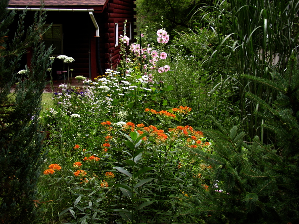 a garden in my front yard