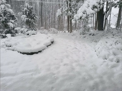 2016-04-03 Front Yard